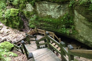 Rock Bridge Memorial State Park